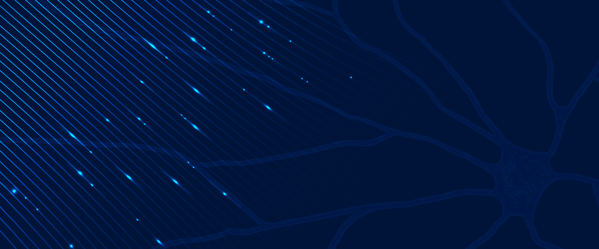 증상배경이미지