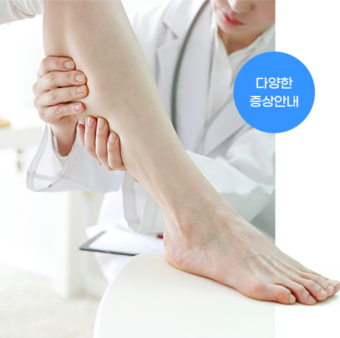 증상안내